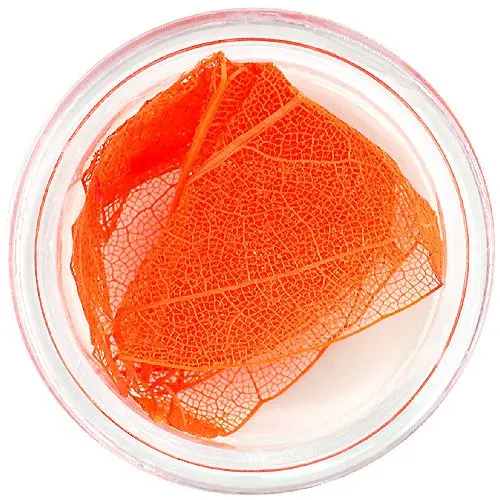 Oranžno suho listje