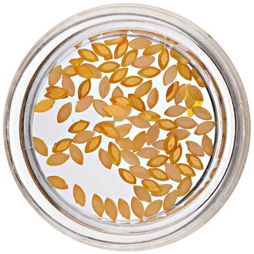 Ovali za okraševanje nohtov - oranžno rumeni, bisernati